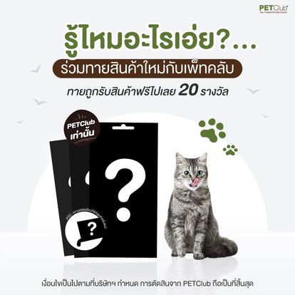 PET Club Thailand Image