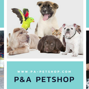 PA Petshop Image