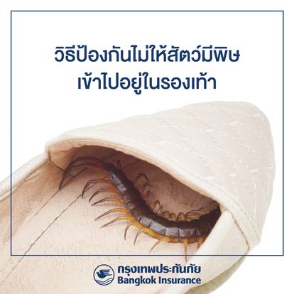 Bangkok Insurance Image