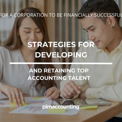 Pim Accounting Image