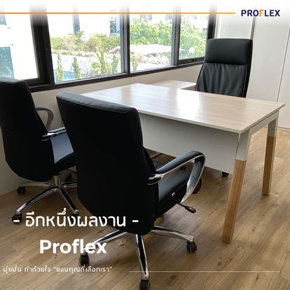 Proflex Furniture Image